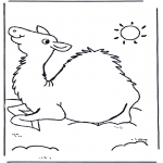 animals coloring pages - Camel