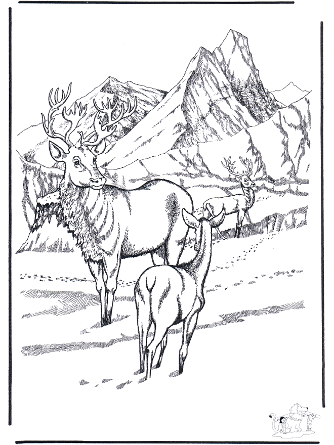 coloring pages winter animals