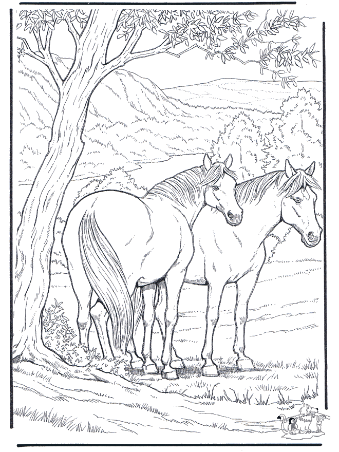 paint horse coloring pages - photo #47