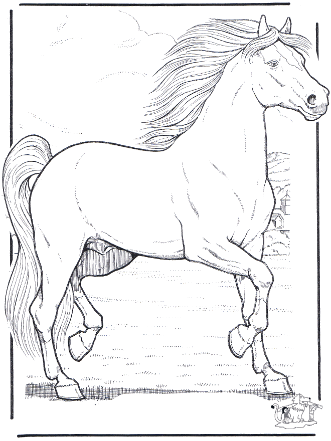 horses coloring pages. Horse 3