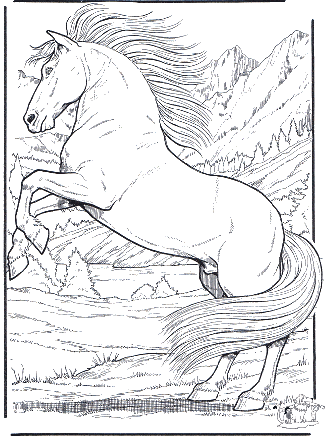 Horses Jumping Drawings. FunnyColoring.com