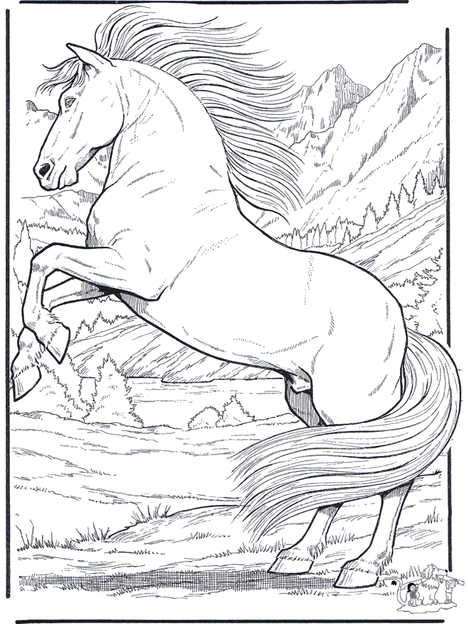 Horse 5