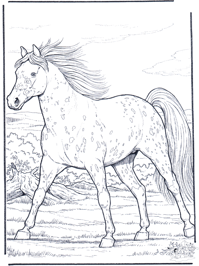 gallop coloring pages - photo #9