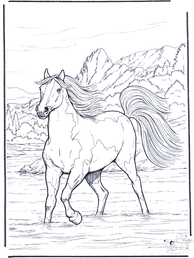 water horse coloring pages - photo #14