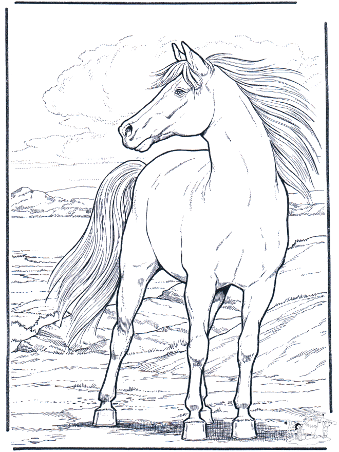 horses coloring pages. Horse in the wind