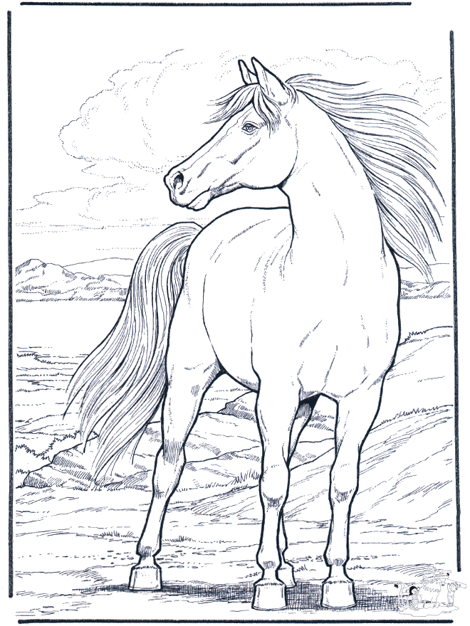 Horse in the wind horses coloring pages. Horse in the wind