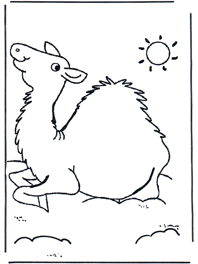 Camel coloring pages