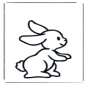Little rabbit