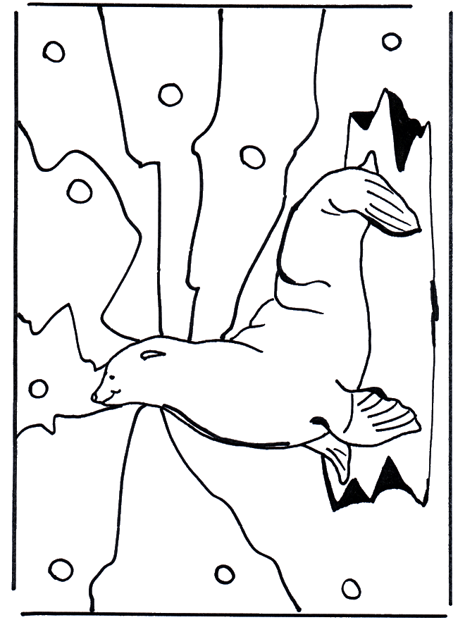 california sea lion coloring pages - photo #32
