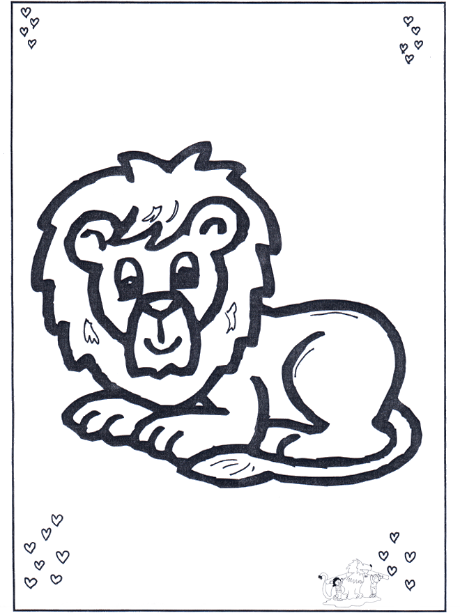 Baby lion - Animals