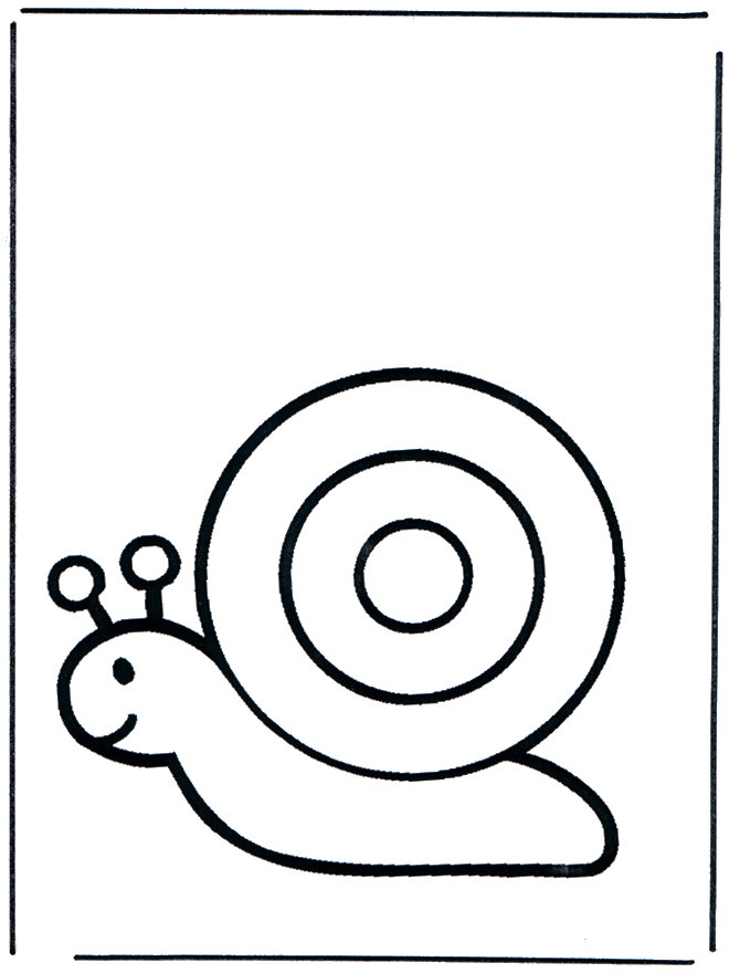 Baby snail - Animals