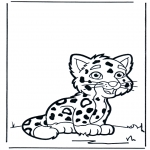 Animals coloring pages - Baby tiger