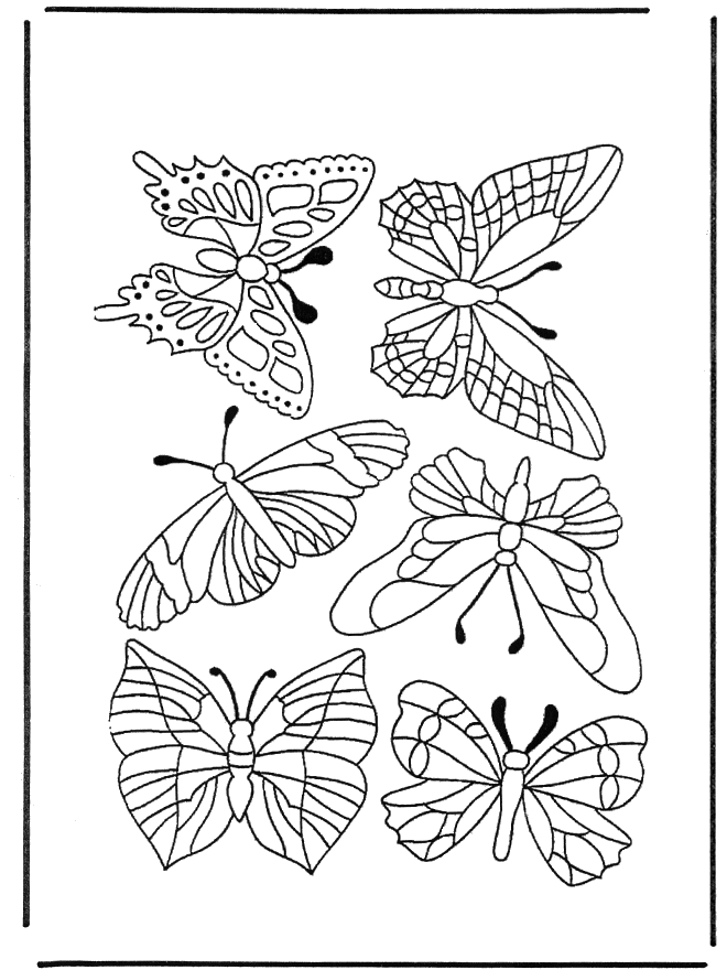 Butterflies 1 - Insects coloring page