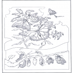 Animals coloring pages - Butterflies 2