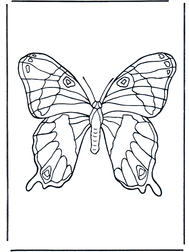 Butterfly 1 - Insects coloring page