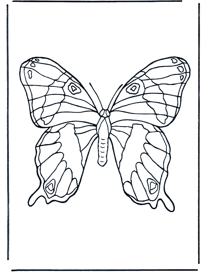 Download Butterfly 1 - Insects coloring page