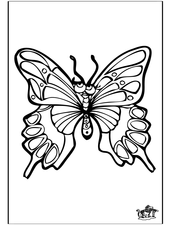 Butterfly 4 - Insects coloring page