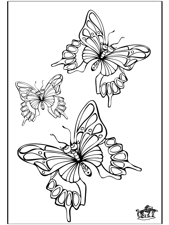 Butterfly 5 - Insects coloring page