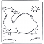 Animals coloring pages - Camel 1