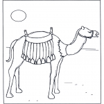 Animals coloring pages - Camel in the sunshine