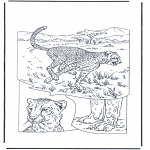 Animals coloring pages - Cheetah 1