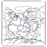Animals coloring pages - Cock 1