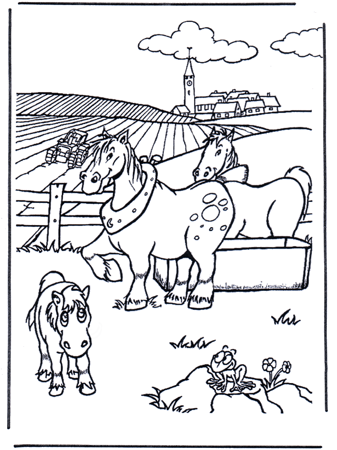 Coloring picture horse - Horses