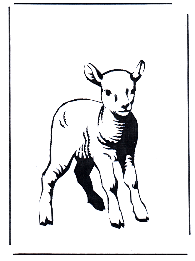 Coloring sheet lamb - Spring