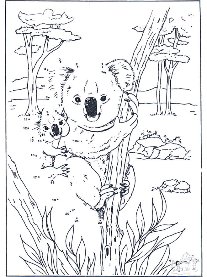 Connect the Dots - koala - Number picture