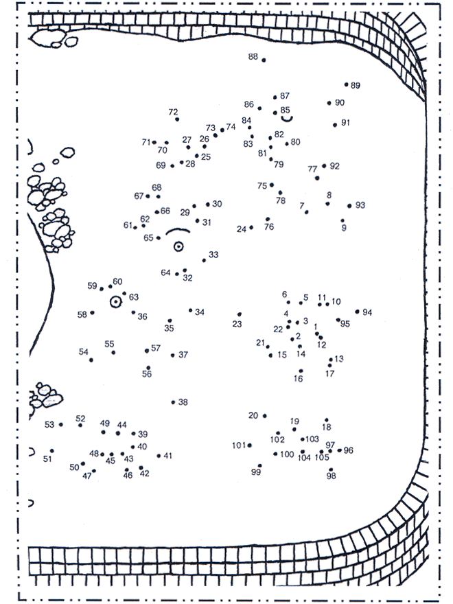 Connect the Dots - zoo 4 - Number picture