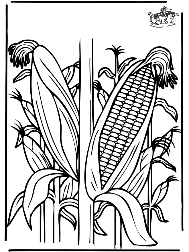 Corn - Plants coloring pages
