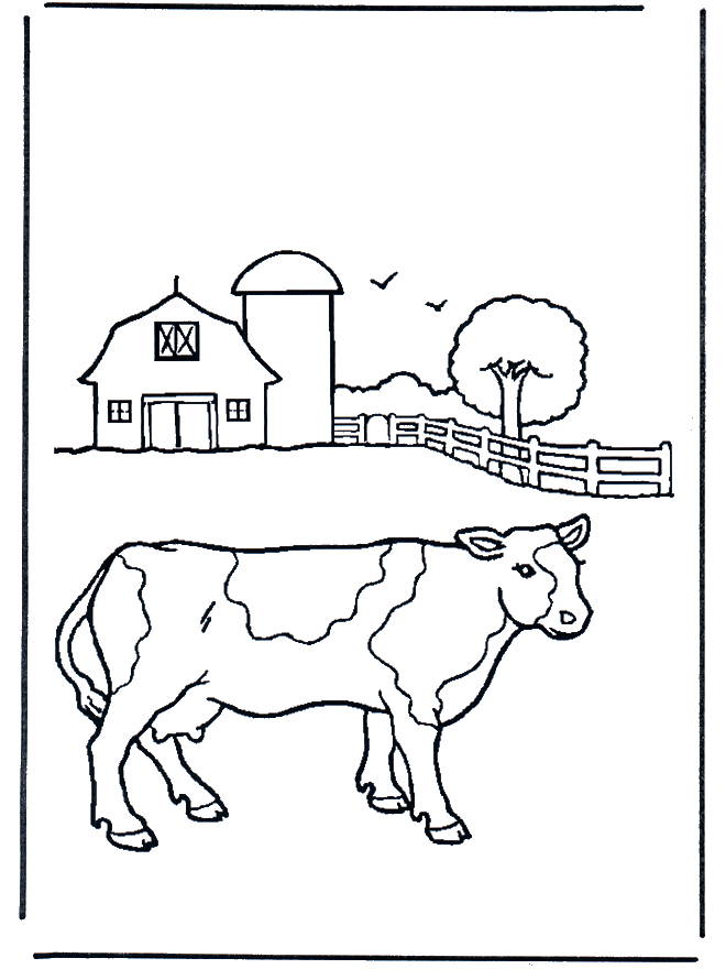 Cow on farm - pets and animals on the farm