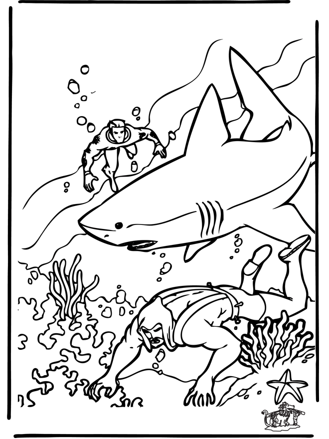 Diver and shark - Sea