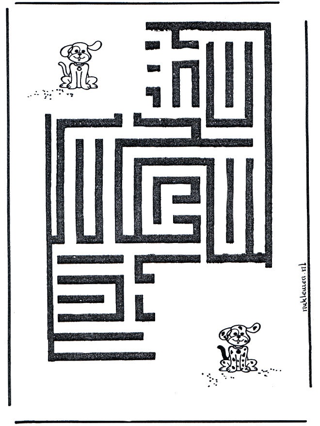 Dog labyrinth - Labyrinth