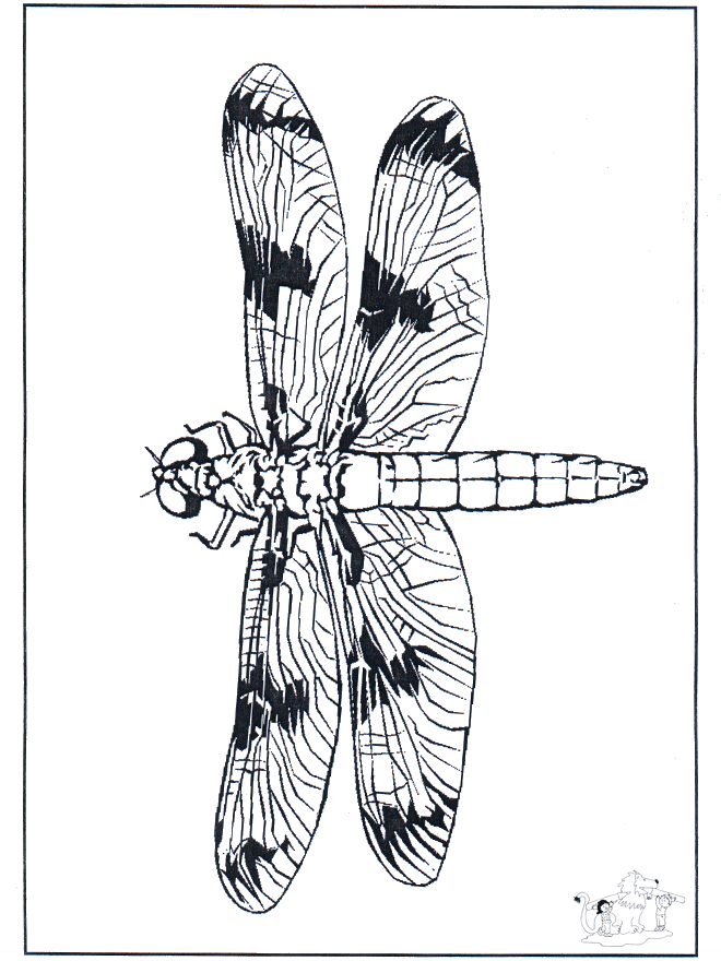 Dragon-fly 2 - Insects coloring page