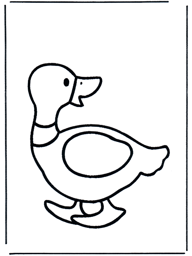 Duck 2 - Birds