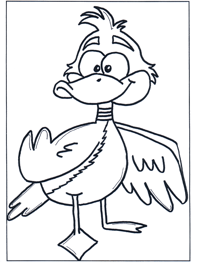Duck 3 - Birds