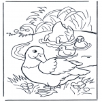 Animals coloring pages - Ducks