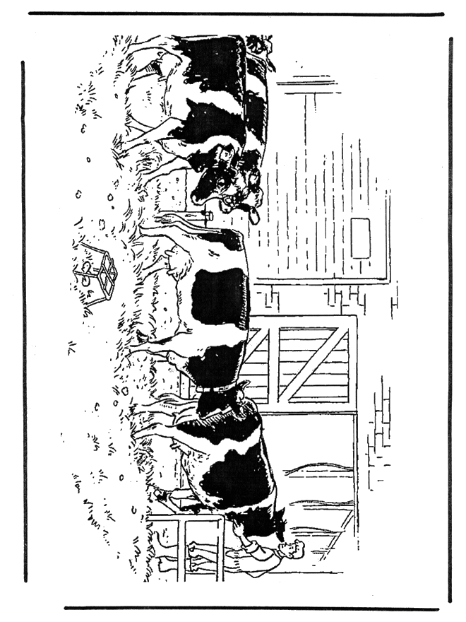 Free coloring pages cows - pets and animals on the farm