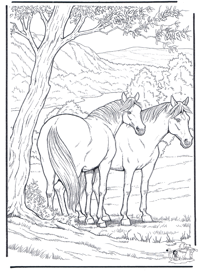 free coloring pages horse horses