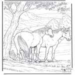 Animals coloring pages - Free coloring pages horse