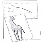 Animals coloring pages - Giraffe and sea lion