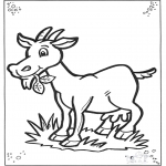 Animals coloring pages - Goat 2