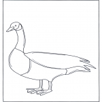 Animals coloring pages - Goose