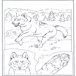 Animals coloring pages - Gray Wolf