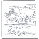 Animals coloring pages - Hippo 1