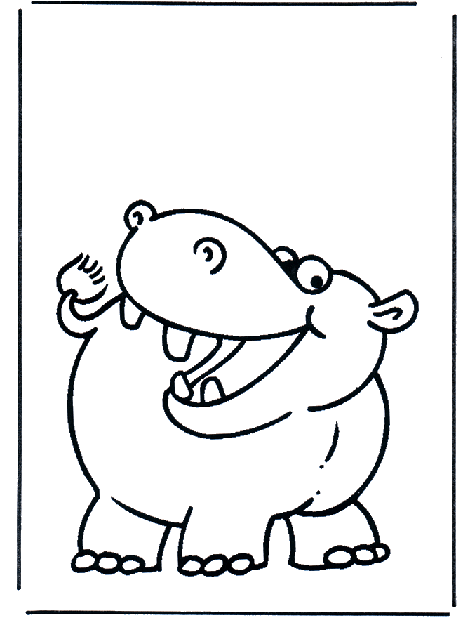 Hippo 2 - Zoo