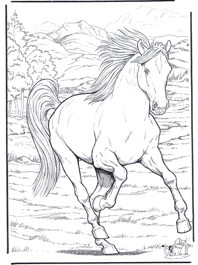 Horse 4 - Horses