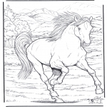 Animals coloring pages - Horse 4