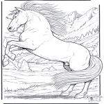 Animals coloring pages - Horse 5